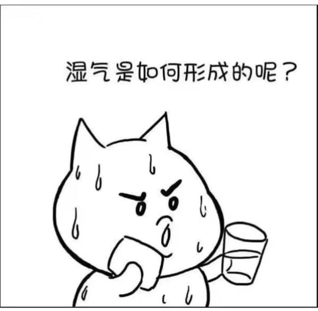 何为湿气？几张图秒懂湿气！！